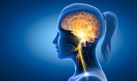  Axel_Kock/Shutterstock