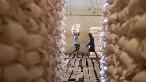Pekerja mengangkut pupuk urea di gudang lini 3 Jatibarang pupuk Kujang, Indramayu, Jawa Barat, Rabu (12/7/2023). Foto: ANTARA FOTO/Dedhez Anggara