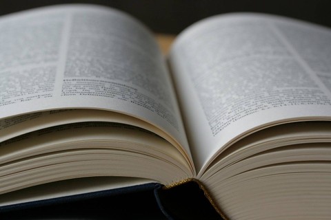 Ilustrasi sinonim amsal - Sumber: pixabay.com/joa70