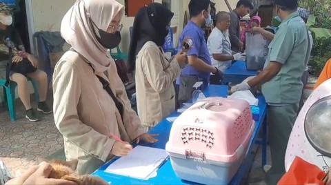 Pelaksanaan vaksinasi dan pemberian obat cacing serta vitamin bagi kucing di Kampung Sunter Muara, RW 05, Sunter Agung, Tanjung Priok, Jakut, Jumat (14/7).  Foto: Thomas Bosco/kumparan
