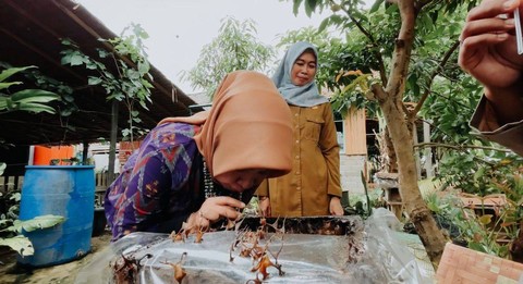 Menikmati madu kelulut asli. Madu ini punya banyak manfaat kesehatan bagi tubuh. Foto: Dok Hi!Pontianak