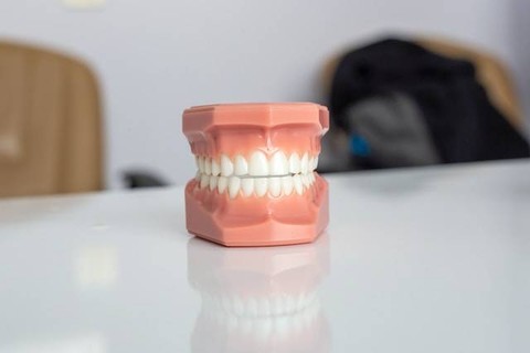 Ilustrasi Macam-Macam Gigi. Foto: dok. Unsplash/Enis Yavuz