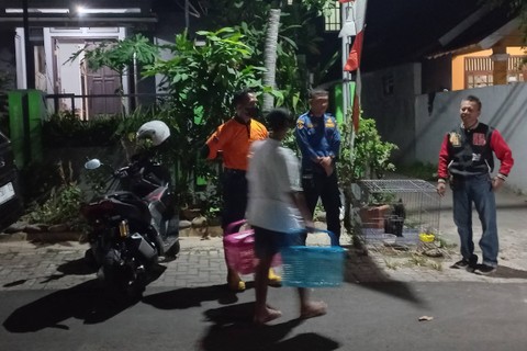 Petugas Pemadam Kota Semarang mengevakuasi kucing liar yang diduga sakit di Sampangan, Gajahmungkur, Kota Semarang, Sabtu (29/7/2023). Foto: Intan Alliva Khansa/kumparan