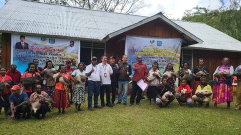 Foto bersama setelah penyerahan bantuan seribu ternak babi bagi warga Kabupaten Mamberamo Tengah, Papua Pegunungan. Foto: Antara/HO-Humas Pemprov Papua Pegunungan