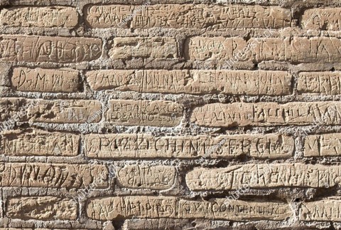 Sumber Foto: Shutterstock