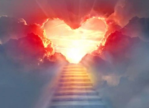 Ilustrasi. Foto: Shutterstock