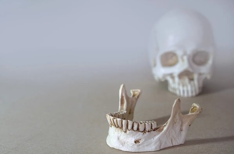 Tulang rahang menyerupai Homo erectus dan Homo sapiens. Foto: Shutterstock