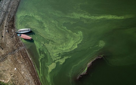 Foto udara perahu bersandar di Situ atau Danau Cileunca di Pangalengan, Kabupaten Bandung, Jawa Barat, Sabtu (5/8/2023). Foto: Raisan Al Farisi/Antara Foto