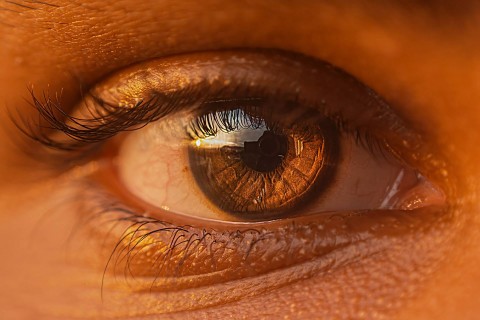 Ilustrasi bagian mata yang berfungsi sebagai celah masuknya cahaya adalah. Sumber: pexels/ryan braxton