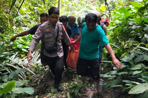 Evakuasi korban kendaraan dinas milik Balai Prasarana Pemukiman Wilayah (BPPW) Sulawesi Tengah, yang kecelakaan dengan terjun bebas di jurang sedalam 50 meter di Jalan Trans Sulawesi, Sabtu (12/8/2023). Foto: Dok. Istimewa