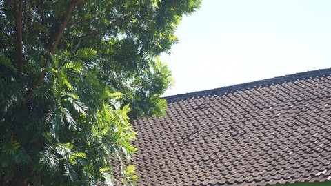 Permukaan atap bangunan SD Negeri Semuten di Dlingo, Bantul, terlihat tidak rata dan terdapat cekungan di beberapa titik karena ada beberapa kayu penyangga genting yang patah. Foto: Arif UT/Pandangan Jogja