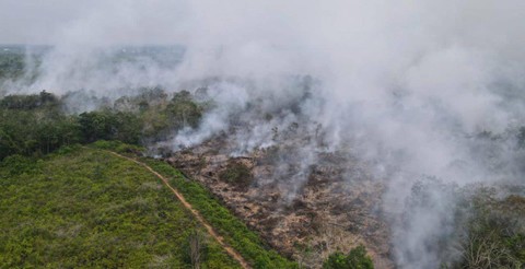 Kebakaran lahan di Desa Pasir, Kecamatan Mempawah Hilir, Kabupaten Mempawah. Foto: Muhammad Zain/Hi!Pontianak