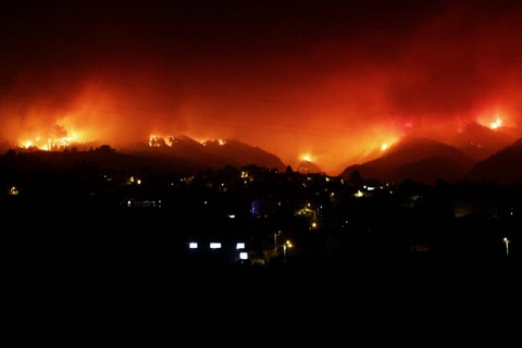 Pemandangan menunjukkan kebakaran di pegunungan di desa La Victoria di pulau Tenerife, Kepulauan Canary, Spanyol, Sabtu (19/8/2023).  Foto: Nacho Doce/REUTERS