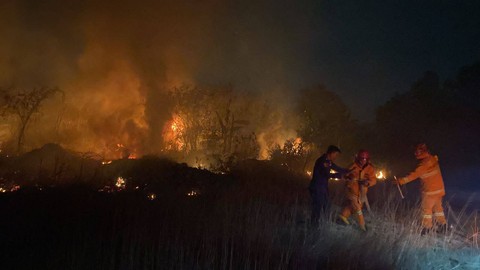 Sebuah lahan kosong di Bandar Lampung terbakar pada Minggu (20/8) malam. | Foto : Dok. Dinas Pemadam Kebakaran dan Penyelamatan Kota Bandar Lampung.