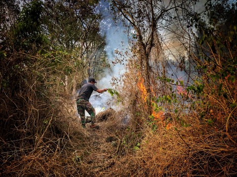 Seorang Anggota Masyarakat Peduli Api (MPA) Kabupaten Kuningan saat memadamkan api secara manual di TNGC. (27/8/2023). Foto: Dok. kumparan