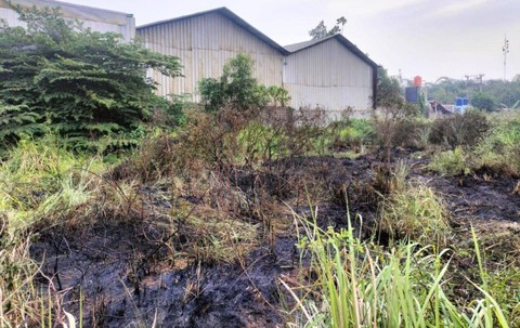BPBD Kabupaten Tangerang memadamkan lahan yang terbakar akibat pembakaran sampah.  Foto: BPBD Kab Tangerang