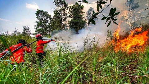 Manggala Agni saat berjibaku memadamkan api Karhutla, Foto : Ary Priyanto/Urban Id