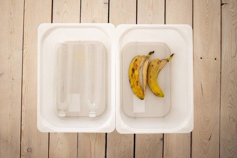 Ilustrasi Jelaskan Skema Pemanfaatan Limbah Organik. Sumber: Pexels/Monstera