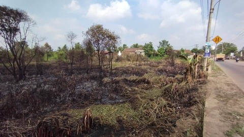 Lahan kosong di Tanjungan Barangan, Ilir Barat 1, Palembang yang terbakar, kejadian ini sempat membuat panik warga sekitar. (Foto: Reno)