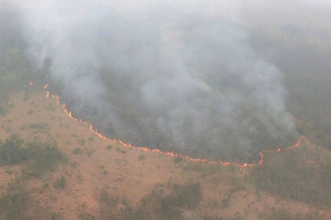 Suasana kebakaran hutan di kawasan Gunung Arjuno, Jawa Timur.
 Foto: Instagram/@khofifah.ip
