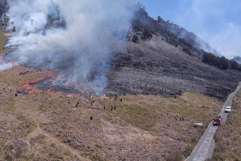 Personel gabungan Balai Besar Taman Nasional Bromo Tengger Semeru (BB TNBTS) pada saat melakukan proses pemadaman api di area savana/Bukit Teletubbies, di wilayah Kabupaten Malang, Jawa Timur, Rabu (30/8/2023). Foto: HO-BB TNBTS/Antara