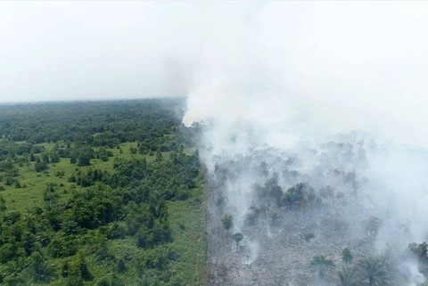 Memanfaatkan drone untuk pemantauan karhutla yang terjadi di Padu Banjar. (Foto drone Erik Sulidra/Yayasan Palung).