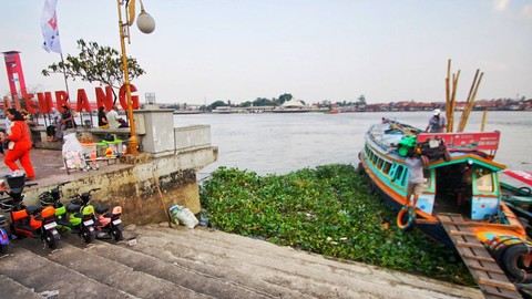 Tumpukan eceng gondok bercampur sampah yang memenuhi area pinggir Sungai Musi Palembang tak jauh dari warung terapung, Sabtu (9/9) Foto: ary priyanto/urban id