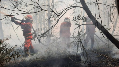 Manggala Agni saat berjibaku memadamkan kebakaran lahan di Ogan Komering Ilir (OKI), Foto : Manggala Agni Daops Sumatera OKI dan Banyuasin