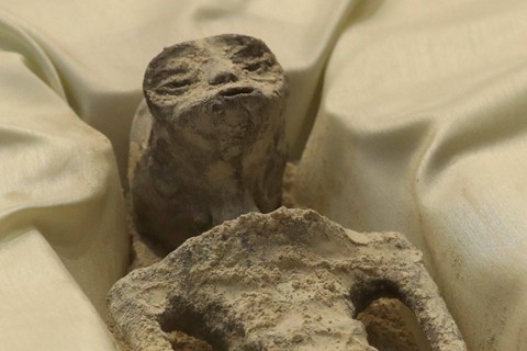 Sisa-sisa makhluk yang diduga 'bukan manusia' dipajang saat pengarahan tentang benda terbang tak dikenal, yang dikenal sebagai UFO, di istana legislatif San Lazaro, di Mexico City, Meksiko. Foto: Henry Romero/REUTERS