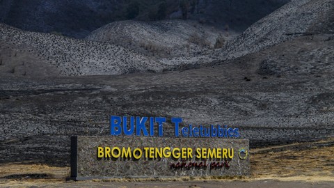 Foto udara kondisi lahan pasca kebakaran di kawasan Gunung Bromo, Probolinggo, Jawa Timur, Jumat (15/9). Foto: ANTARA FOTO/Muhammad Mada