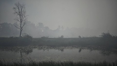 Suasana kabut asap pekat yang menyelimuti perkampungan di wilayah Sukawinatan Palembang, Minggu (17/9) Foto: abp/urban id