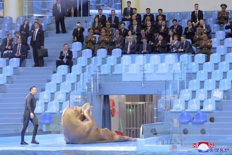 Pemimpin Korea Utara Kim Jong-Un (keempat) menyaksikan pertunjukan walrus di Akuarium Primorsky di Vladivostok, Timur Jauh Rusia Minggu, 17 September 2023. Foto: Kantor Berita Pusat Korea/AP