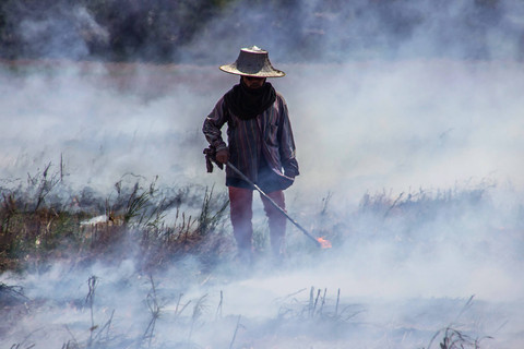 Ilustrasi petani membakar lahan. Foto: Shutterstock