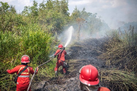 Petugas dari Manggala Agni Daops OKI, Lahat, Muba, Banyuasin dan Jambi melakukan pemadaman kebakaran lahan gambut di Kutaraya, Kayu Agung, Ogan Komering Ilir (OKI), Sumatera Selatan, Senin (18/9/2023). Foto: Nova Wahyudi/ANTARA FOTO