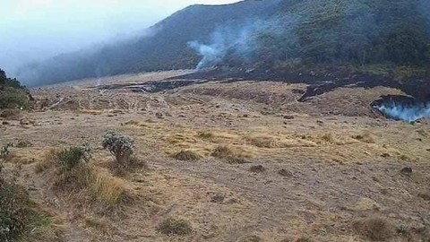 Kebakaran alun-alun Suryakencana Taman Nasional Gunung Gede Pangrango (TNGGP). Foto: Dok. Istimewa