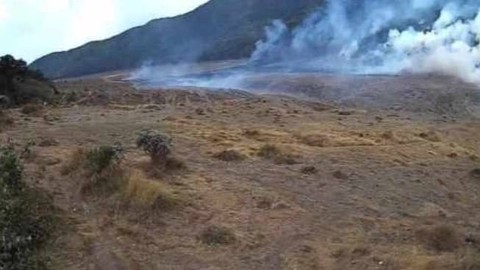 Kebakaran alun-alun Suryakencana Taman Nasional Gunung Gede Pangrango (TNGGP). Foto: Dok. Istimewa