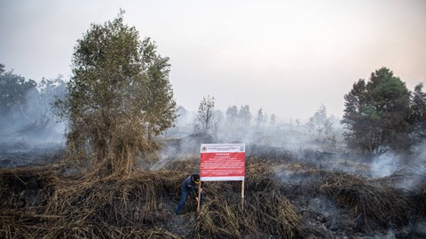 Petugas Balai Penanganan dan Penegakkan Hukum Lingkungan Hidup dan Kehutanan (BPPHLHK) Wilaya Sumatera Seksi III Palembang menyegel lahan yang terbakar di Sepucuk, Pedamaran, Ogan Komering Ilir (OKI), Sumatera Selatan, Senin (18/9). Foto: ANTARA FOTO/Nova Wahyudi