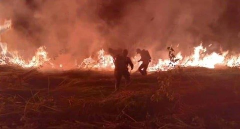 Petugas berupaya memadam api yang membakar lahan di kawasan TNWK, Rabu 23 November 2022 lalu. | Foto : Dok. BTN Way Kambas