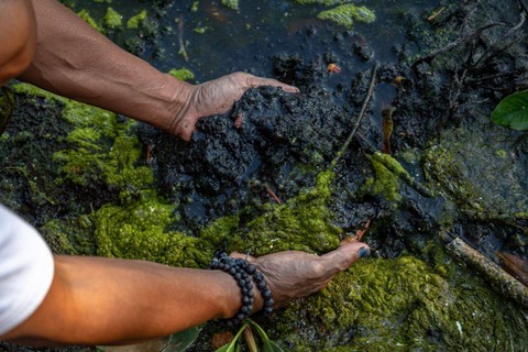 Limbah tambak udang yang merusak Karimunjawa, Kabupaten Jepara, Jawa Tengah. Foto: Greenpeace Indonesia