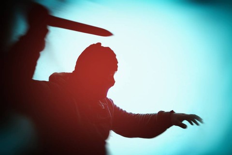 Max Sky/Shutterstock