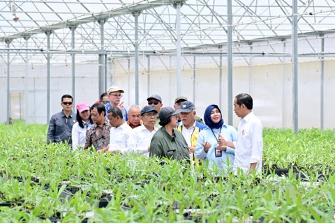 Presiden Joko Widodo di Persemaian Mentawir, Selasa (4/6/2024). Foto: Dok. Biro Pers Setpres