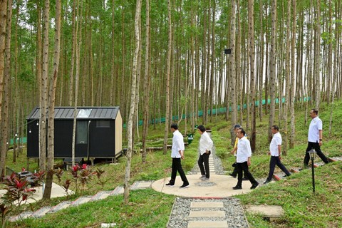 Presiden Joko Widodo menikmati pemandangan IKN dari atas bukit, Jumat (22/9/2023). Foto: Muchlis Jr/Biro Pers Sekretariat Presiden