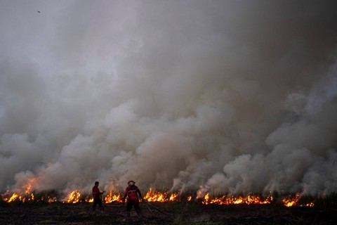 Petugas dari Manggala Agni Daops Banyuasin berupaya memadamkan kebakaran lahan di Desa Muara dua, Kecamatan Pemulutan, Kabupaten Ogan Ilir (OI), Sumatera Selatan, Kamis (21/9/2023). Foto: Nova Wahyudi/ANTARA FOTO