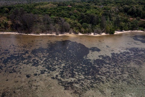 Limbah tambak udang yang merusak Karimunjawa, Kabupaten Jepara, Jawa Tengah. Foto: Greenpeace Indonesia