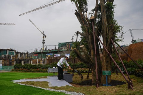 Presiden Joko Widodo menanam pohon beringin saat meninjau progres pembangunan Istana Negara, Ibu Kota Nusantara (IKN), Penajam Paser Utara, Kalimantan Timur, Jumat (22/9/2023). Foto: Sigid Kurniawan/ANTARA FOTO