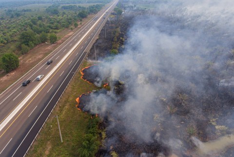 Api membakar lahan perkebunan kelapa sawit di sisi Jalan Tol Trans Sumatera (JTTS) ruas Palembang-Indralaya KM15 Palem Raya, Ogan Ilir (OI), Sumatera Selatan, Jumat (22/9/2023). Foto: Nova Wahyudi/ANTARA FOTO