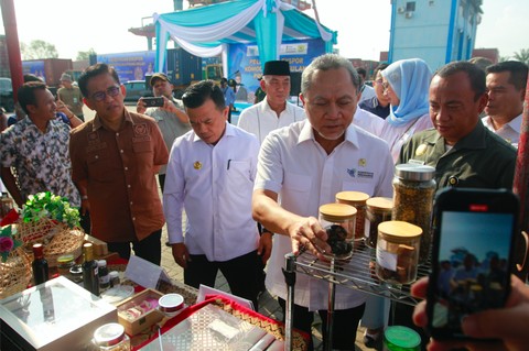 Mendag Zulhas mengamati pinang sebagai salah satu produk unggulan ekspor asal Jambi. Foto: Istimewa