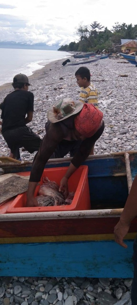 Hasil Tangkapan Ikan Tuna Nelayan Tehoru Maluku Tengah (Sumber foto; Koleksi Pribadi, 2018)