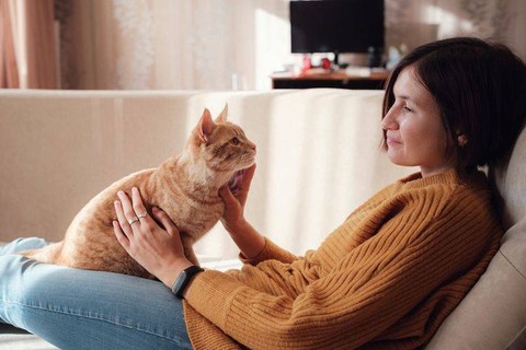 Ilustrasi seorang perempuan sedang bermain dengan kucing peliharaannya. Foto: Yuriy Seleznev/Shutterstock