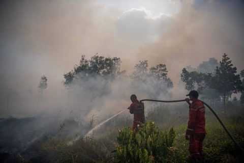 Petugas dari Manggala Agni Daops Banyuasin berupaya melakukan pemadaman kebakaran lahan di Desa Ibul Besar I, Pemulutan, Ogan Ilir (OI), Sumatera Selatan, Kamis (5/10/2023). Foto: Nova Wahyudi/Antara Foto